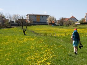 Schwaighof, © Unknown