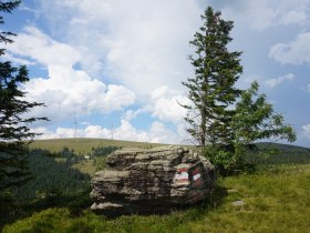 alpannonia - Region&aacute;lis &uacute;tvonal St. Kathrein am Hauenstein, &copy; Wiener Alpen in Nieder&ouml;sterreich - Alpannonia