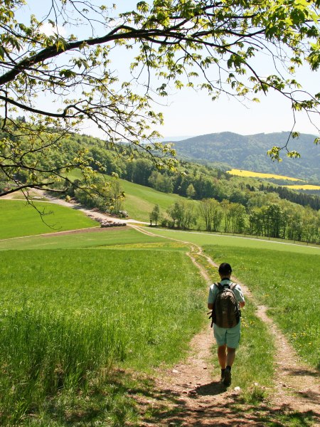 Wanderung in der Buckligen Welt, © Walter Laschober