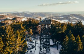 Aussichtsturm im Wald im Winter mit schneebedeckten H&uuml;geln im Hintergrund.
