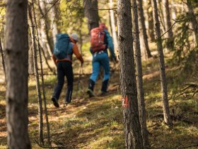 T&uacute;r&aacute;z&aacute;s az Alpannonia hossz&uacute;t&aacute;v&uacute; t&uacute;ra&uacute;tvonalon, &copy; Wiener Alpen in Nieder&ouml;sterreich - Alpannonia