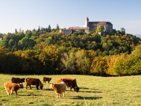 Burg Bernstein, © Unknown