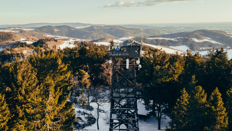 Aussichtsturm im Wald im Winter mit schneebedeckten H&uuml;geln im Hintergrund.