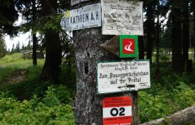 alpannonia - Region&aacute;lis &uacute;tvonal Trattenbach - Alpkogel, &copy; Wiener Alpen in Nieder&ouml;sterreich - Alpannonia