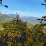 Blick auf den Schneeberg in der Ferne, umgeben von herbstlichen B&auml;umen und Str&auml;uchern im Vordergrund.