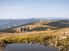 T&uacute;r&aacute;z&aacute;s az Alpannonia hossz&uacute;t&aacute;v&uacute; t&uacute;ra&uacute;tvonalon, &copy; Wiener Alpen in Nieder&ouml;sterreich - Alpannonia