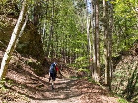 Medve g&ouml;d&ouml;r, &copy; Walter Laschober