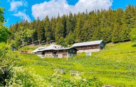 Almh&uuml;tte Steyersberger Schwaig in gr&uuml;ner Landschaft mit Wald im Hintergrund.